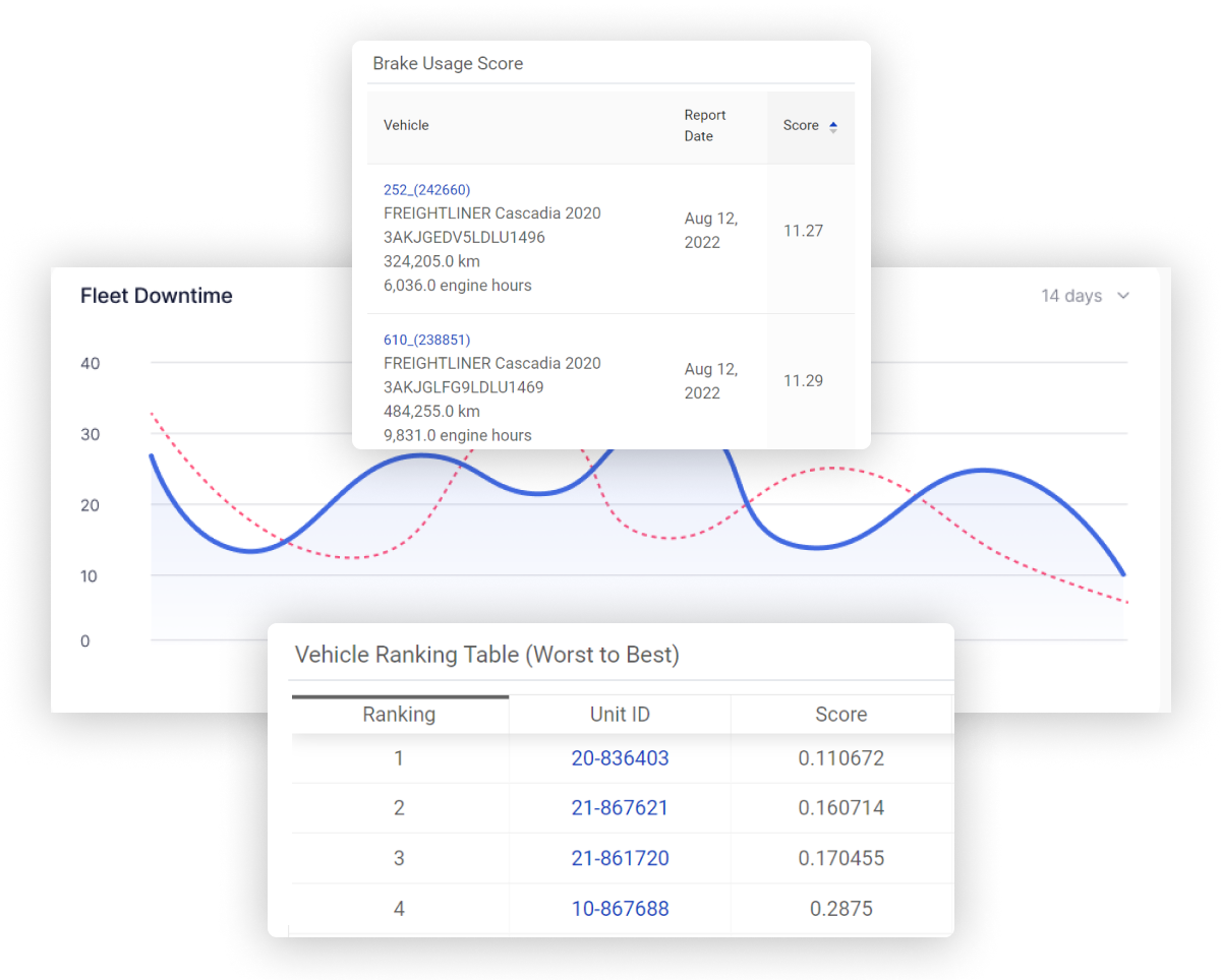 customized fleet reports example