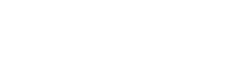 fleet insider logo white